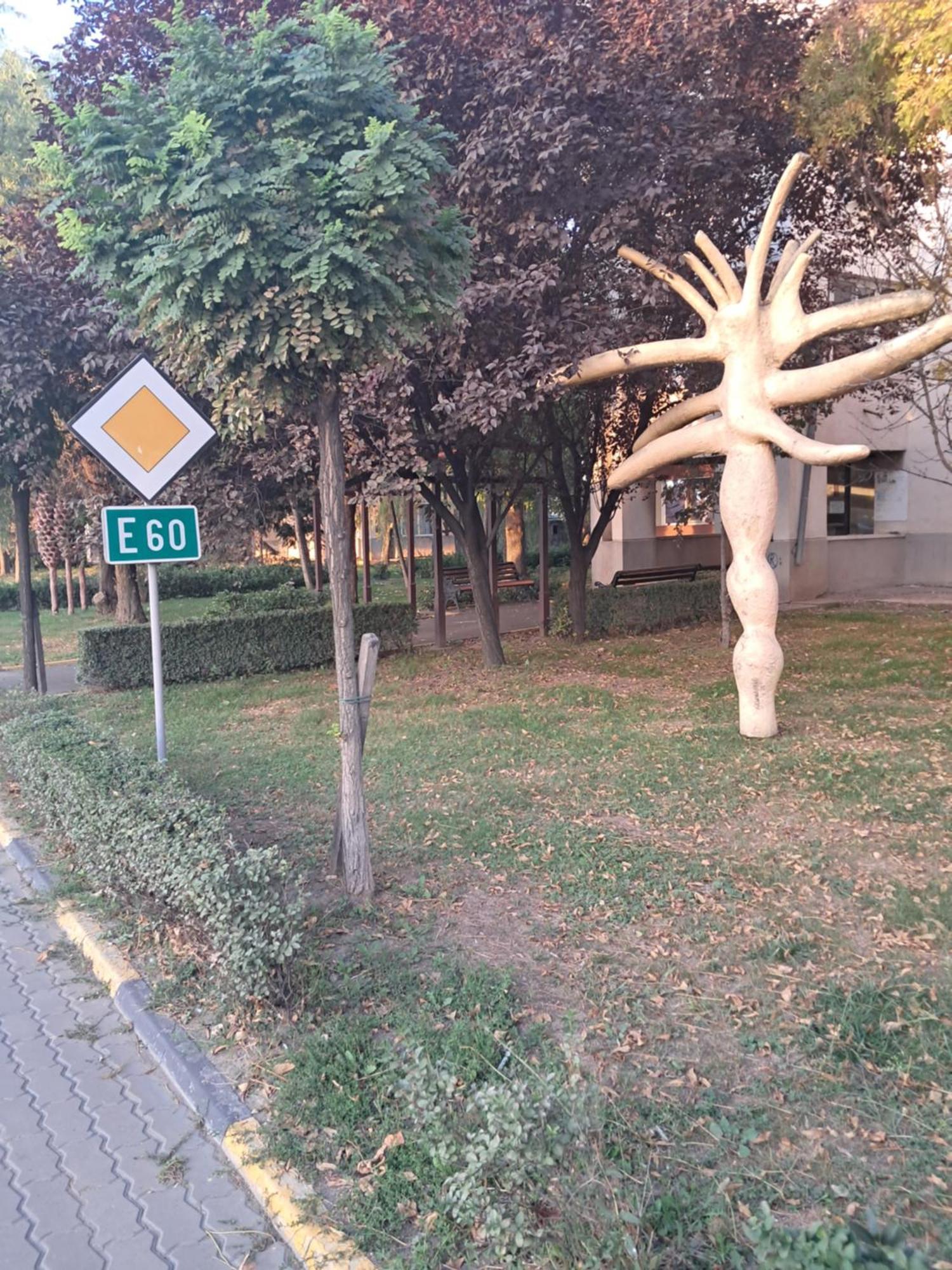 Apartment Popei Marinarul Fara Santieristi Si Petrecareti Otopeni